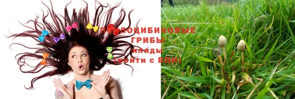 прущая мука Куйбышев